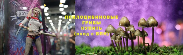 не бодяженный Козельск