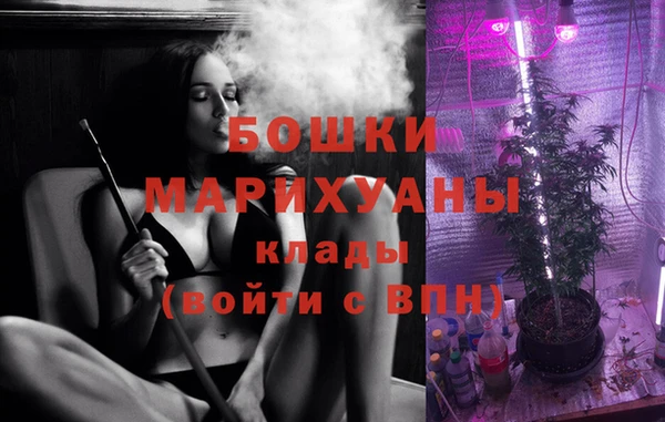 каннабис Корсаков