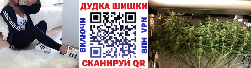 Купить закладки  Олонец  Шишки марихуана планчик 